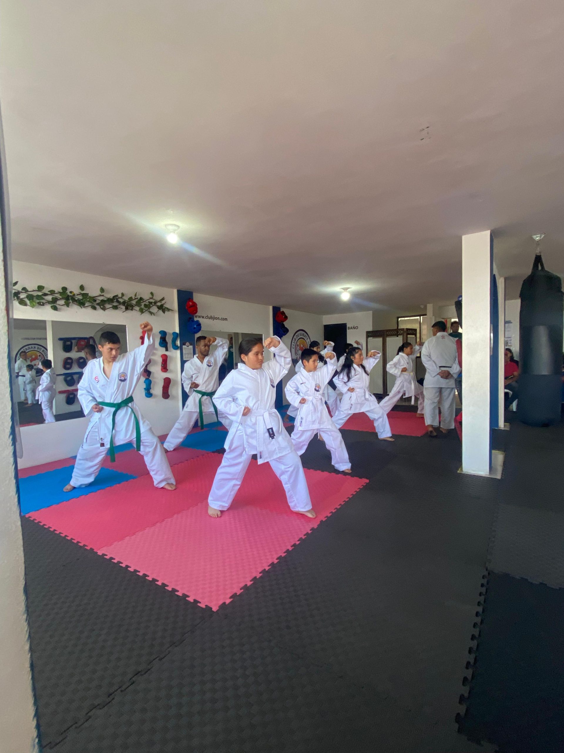 WhatsApp Image 2025-05-03 at 2.07.48 PM